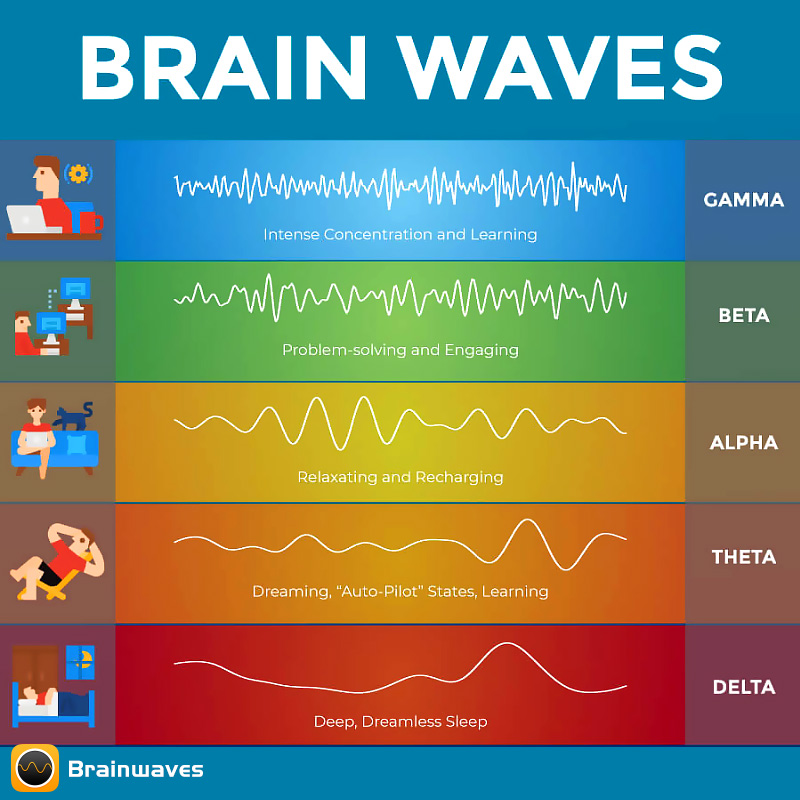 Apps to Improve Brain Function Brainwaves